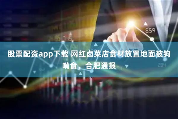 股票配资app下载 网红卤菜店食材放置地面被狗啃食，合肥通报